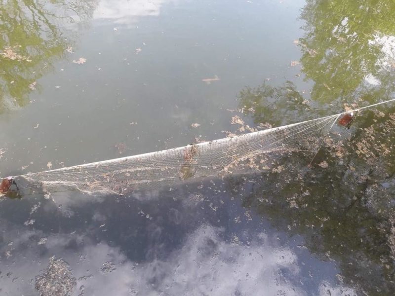 В озері міського парку продовжують незаконно ловити рибу (ФОТО)