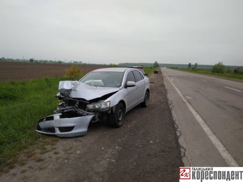 На Прикарпатті автівка врізалась у фіру та розтрощила її, кінь загинув (ФОТО)