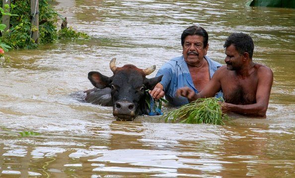 Потужна повінь у Шрі-Ланці, є 12 загиблих (ФОТО)