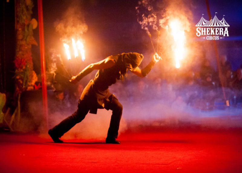 В Івано-Франківську вперше виступить цирк без тварин. Покажуть захоплююче шоу на воді
