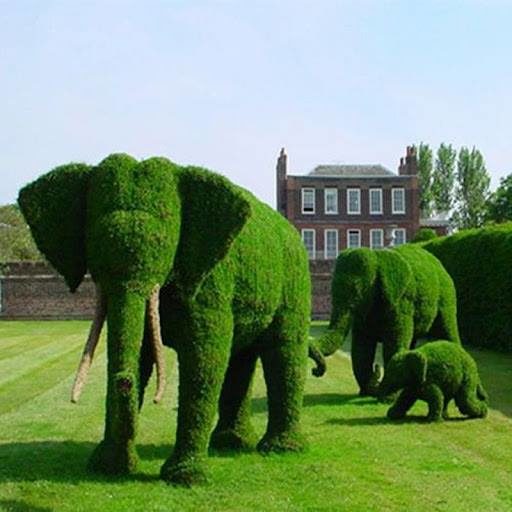 В Івано-Франківську хочуть встановити трьох “зелених слонів”