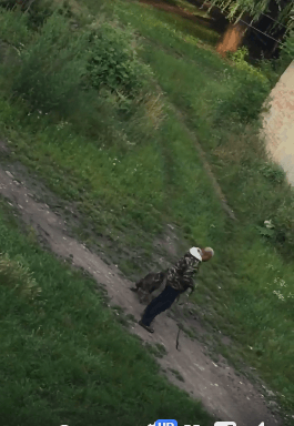 Поліція склала адмінпротокол на коломиянина, котрий жорстоко поводився з собакою (ВІДЕО)