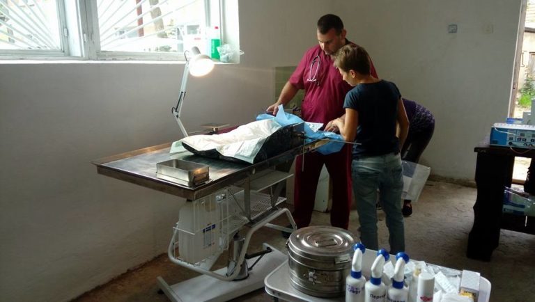 30 тисяч гривень та приміщення для стерилізації безпритульних тварин виділила Надвірна “Дому Сірка” (ФОТО)