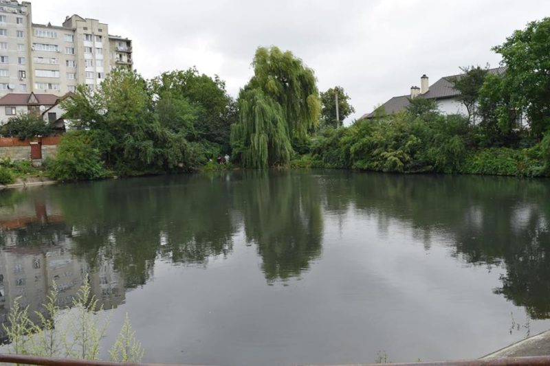 У франківській водоймі, де масово загинула риба, спустять воду (ФОТО)