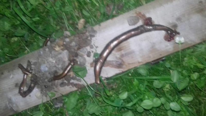 На Тисмениччині сім’я на власному подвір’ї виявила зміїне гніздо з численними відкладеними яйцями (ФОТО)