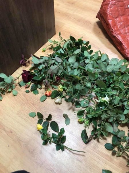 В міському парку невідома жінка понищила троянди (ФОТО)
