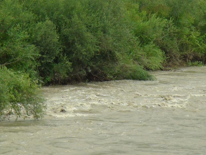 Прикарпатців застерігають щодо розливу річок