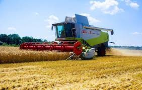 Цьогоріч на Рогатинщині чекають врожаю з 12000 гектарів зернових і зернобобових