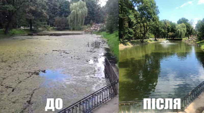 Не впізнати. Як за рік змінилося озеро у парку Шевченка (ФОТОФАКТ)