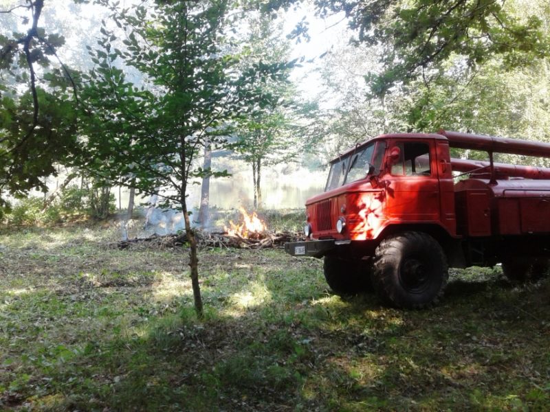 На Коломийщині близько 30 пожежників гасили “палаючий” ліс (ФОТО)
