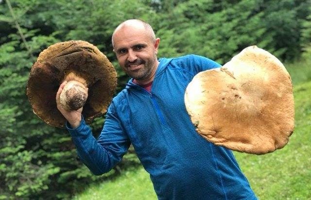 На Прикарпатті живе найвідоміший грибник України (ВІДЕО)