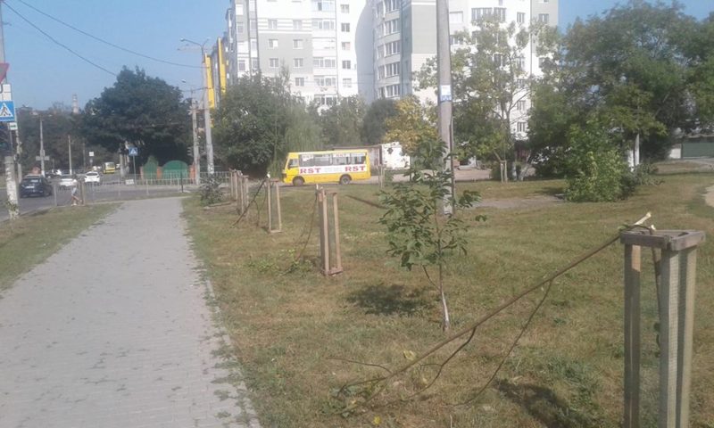 На Хіміків вандали поламали саджанці дерев (ФОТО)