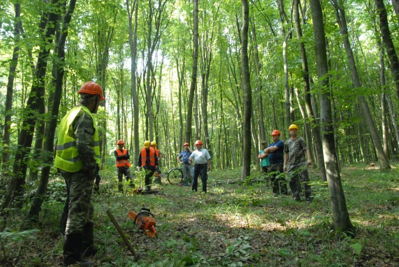 Лісорубів Франківщини вчили правильно валити ліс (ФОТО)