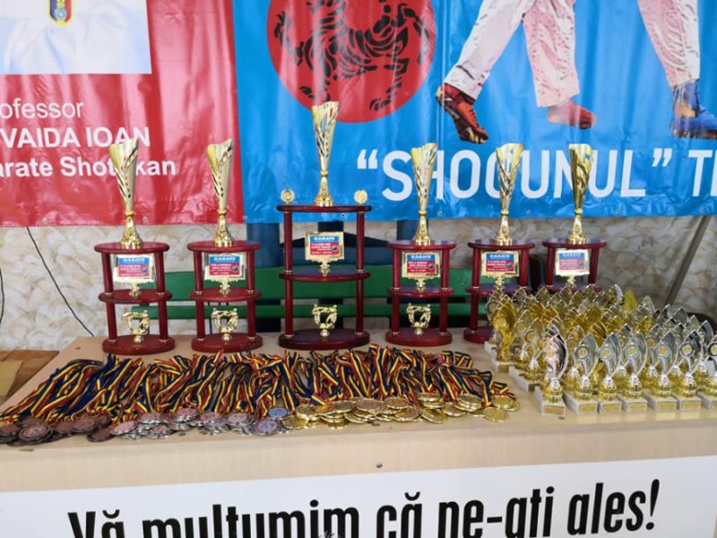 Косівські каратисти вибороли 11 медалей на турнірі в Румунії (ФОТО)
