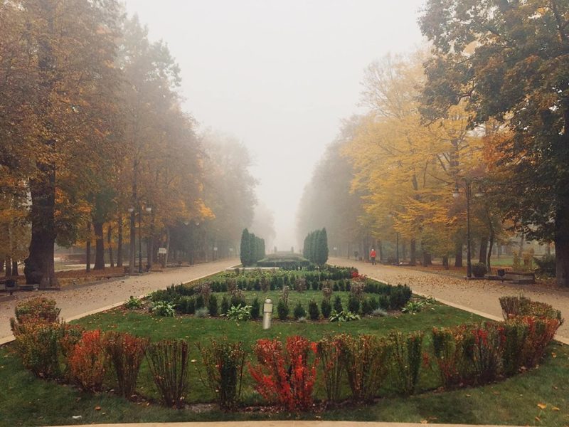 У мережі з’явилися чарівні світлини осіннього франківського парку (ФОТО)