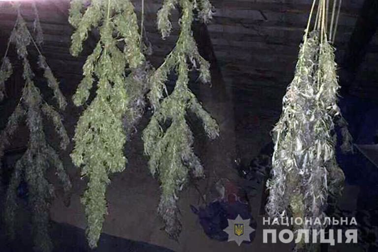 У “агронома” з Долинщини знайшли чотири кілограми коноплі (ФОТО)