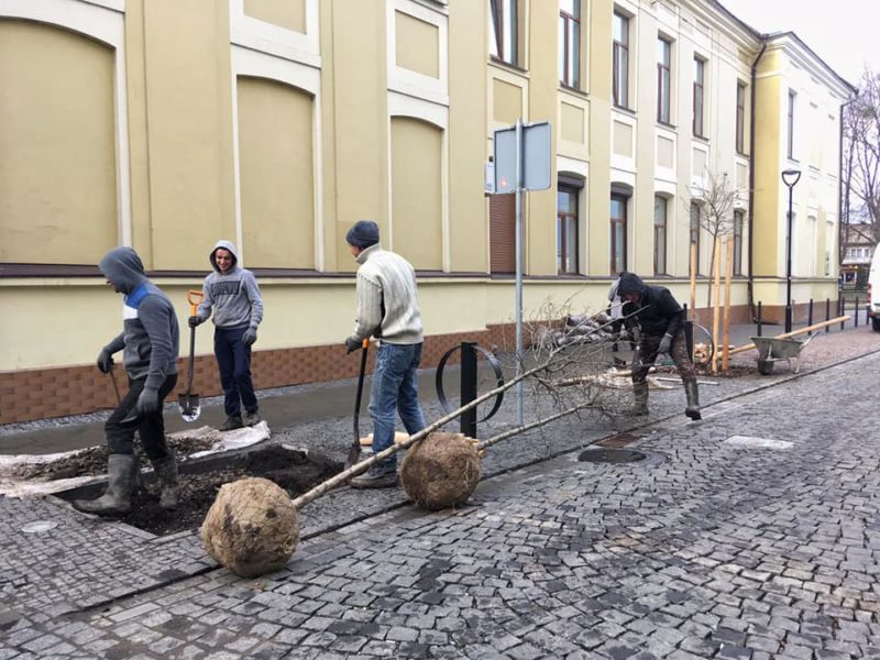 Франківські комунальники продовжують озеленювати центр міста (ФОТО)