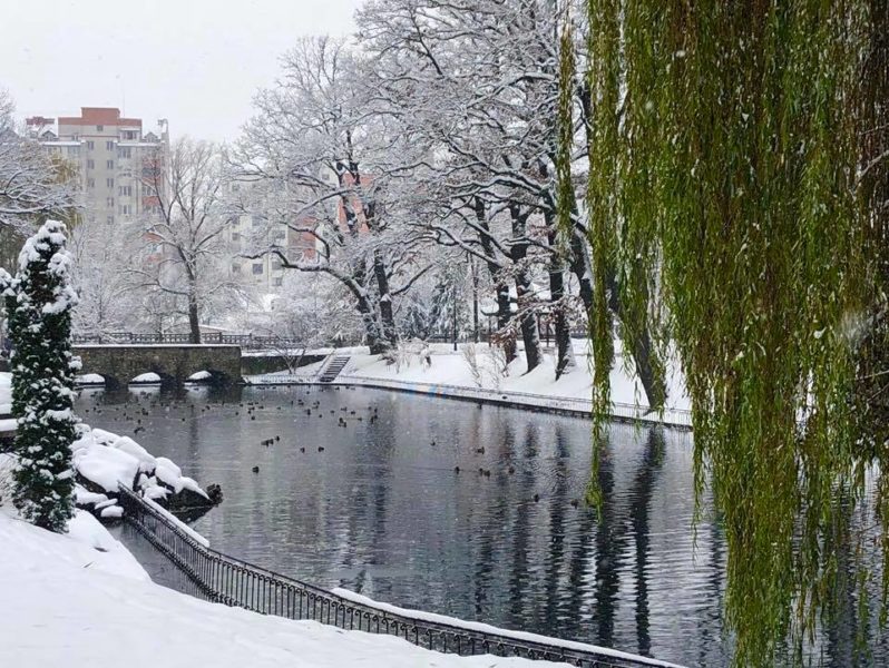 Зимова краса у міському парку (ФОТО)