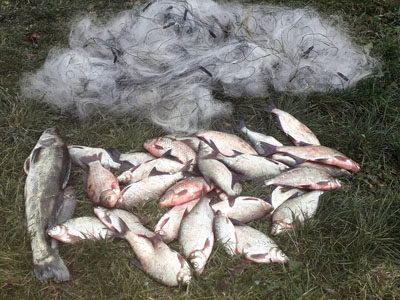 Рибпатруль оштрафував броконьєрів, які “господарювали” на Бурштинському водосховищі